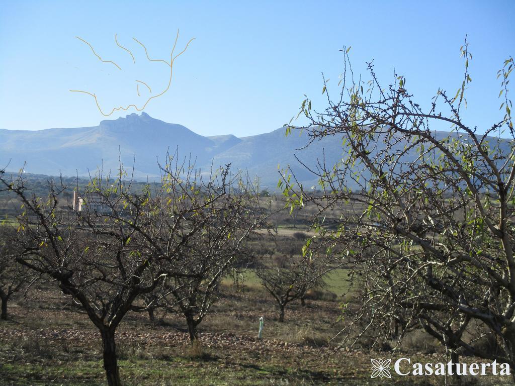 Vila Casa Tuerta Alcalá de Moncayo Exteriér fotografie
