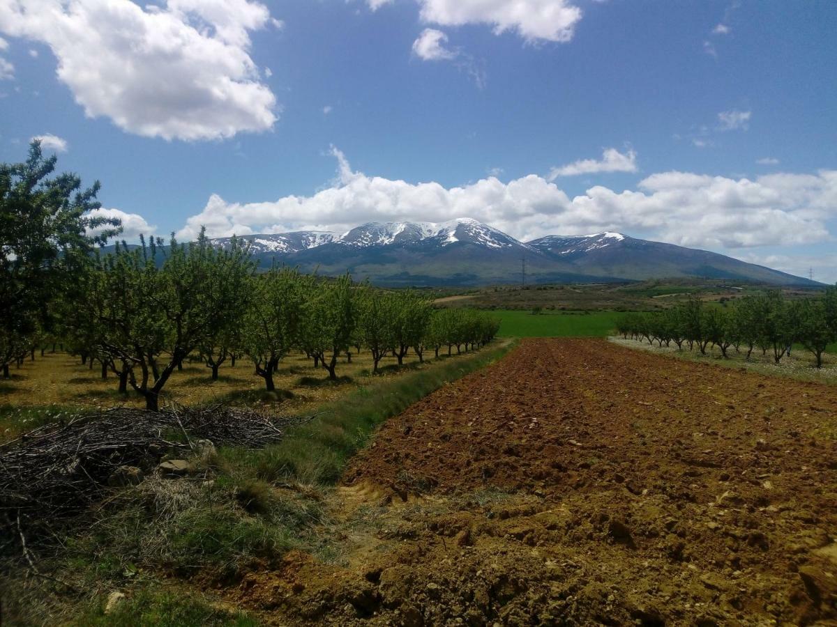 Vila Casa Tuerta Alcalá de Moncayo Exteriér fotografie